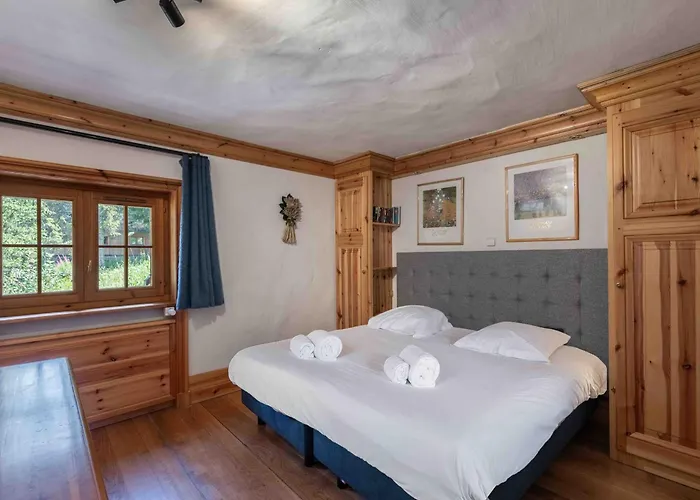 Savoyard De Charme, 12 Pers, Sauna, Acces Piste, Moriond - Fr-1-563-17 *